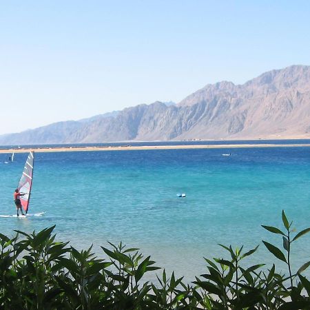 Deluxe Seahorse Apartment - Lagoon Villa Dahab Zewnętrze zdjęcie