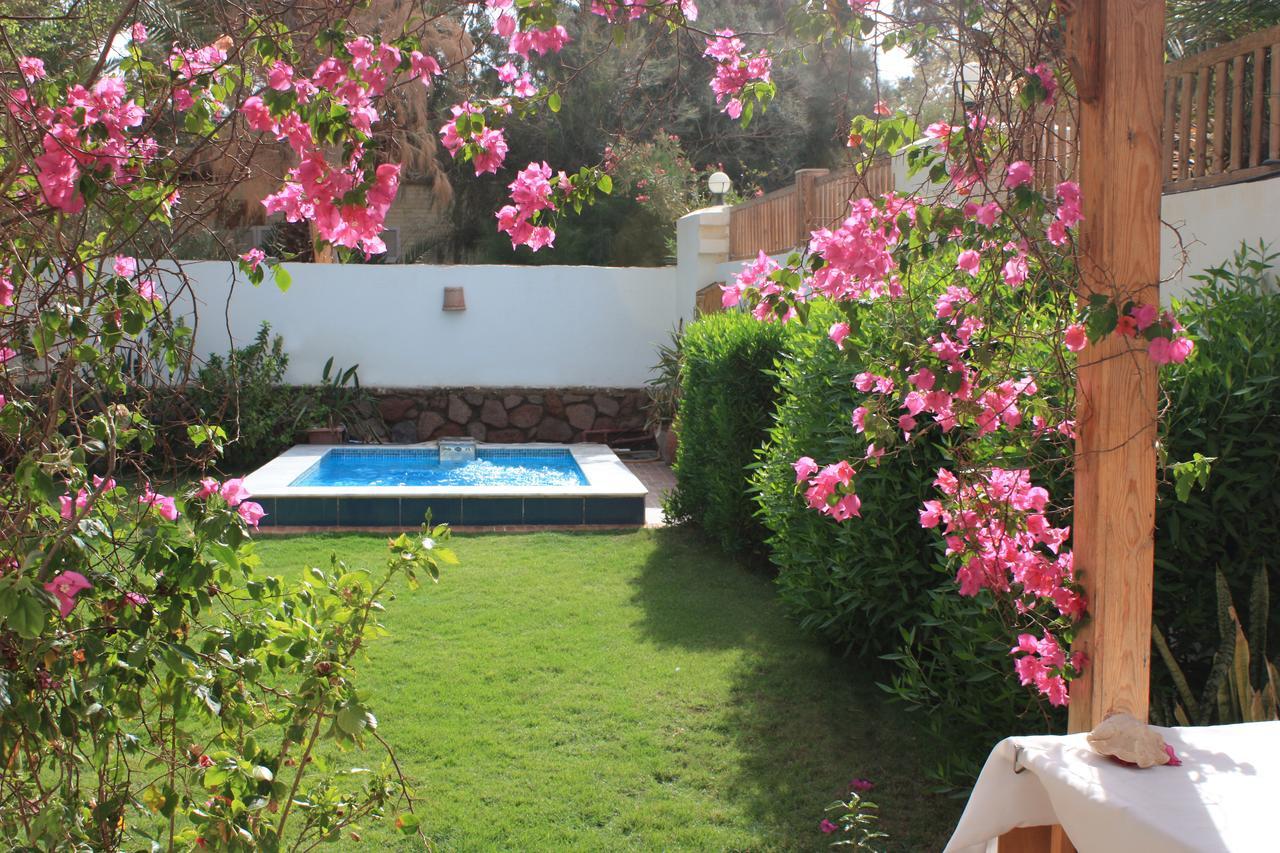 Deluxe Seahorse Apartment - Lagoon Villa Dahab Zewnętrze zdjęcie