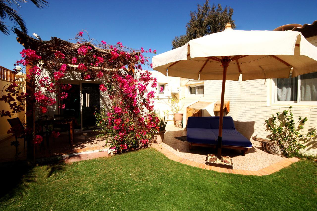 Deluxe Seahorse Apartment - Lagoon Villa Dahab Zewnętrze zdjęcie