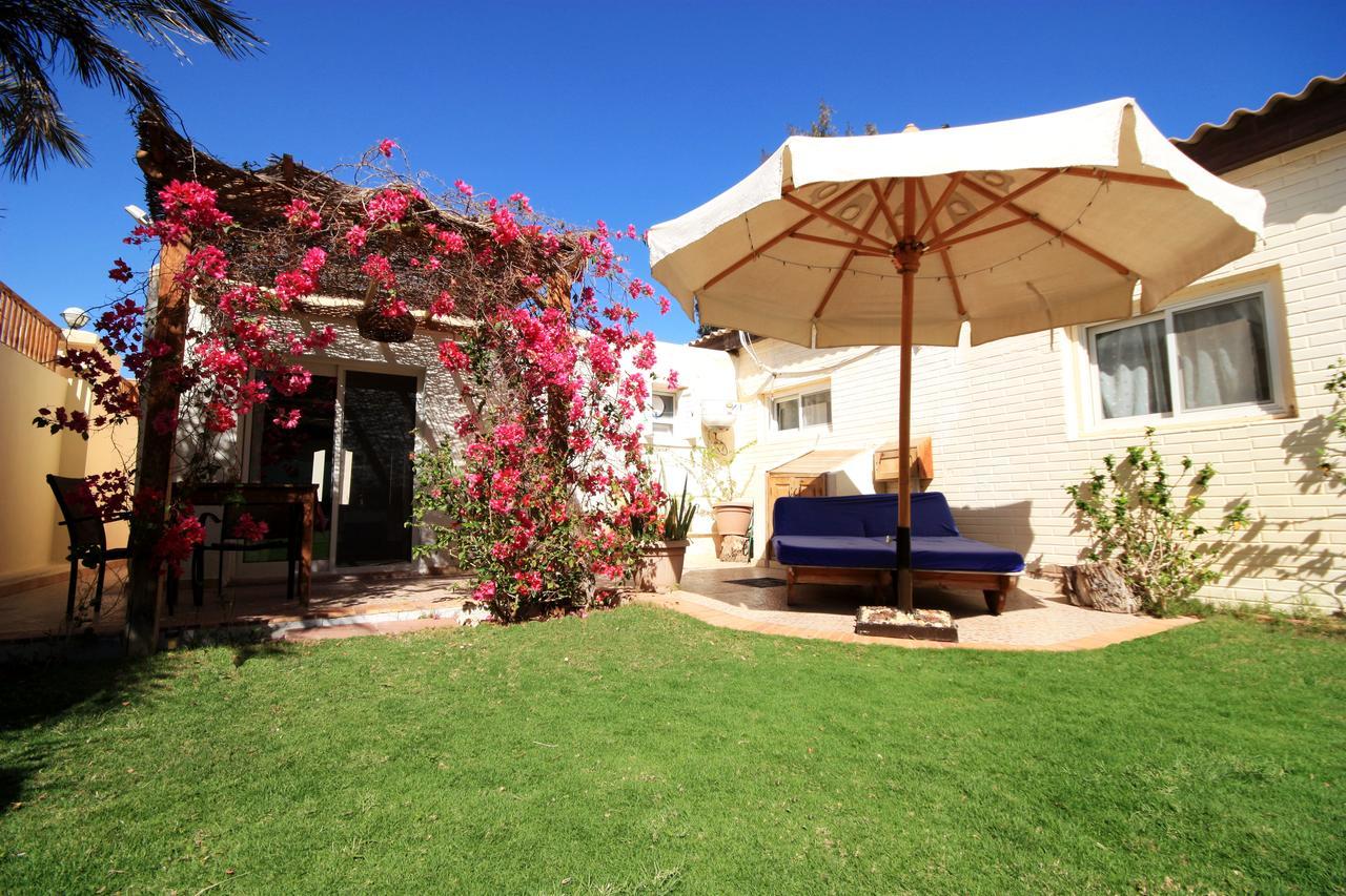 Deluxe Seahorse Apartment - Lagoon Villa Dahab Zewnętrze zdjęcie